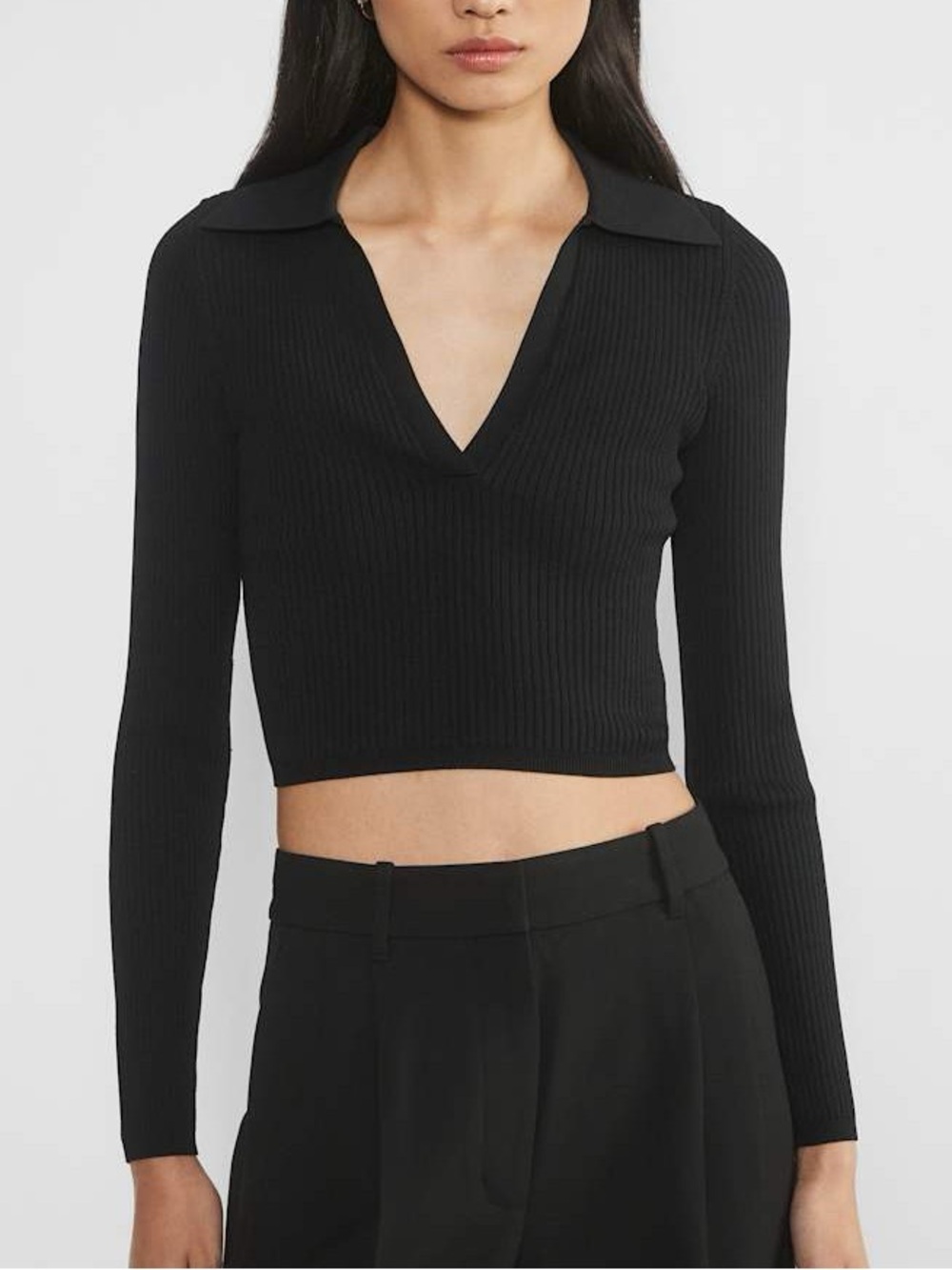 Aritzia Babaton Sculpt Knit Ribbed Black Polo Longsleeve Seamless Basics Small